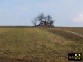 nördlich von Schlettau - Erzgebirge, Sachsen, (D) (2) 02.03.2014.JPG